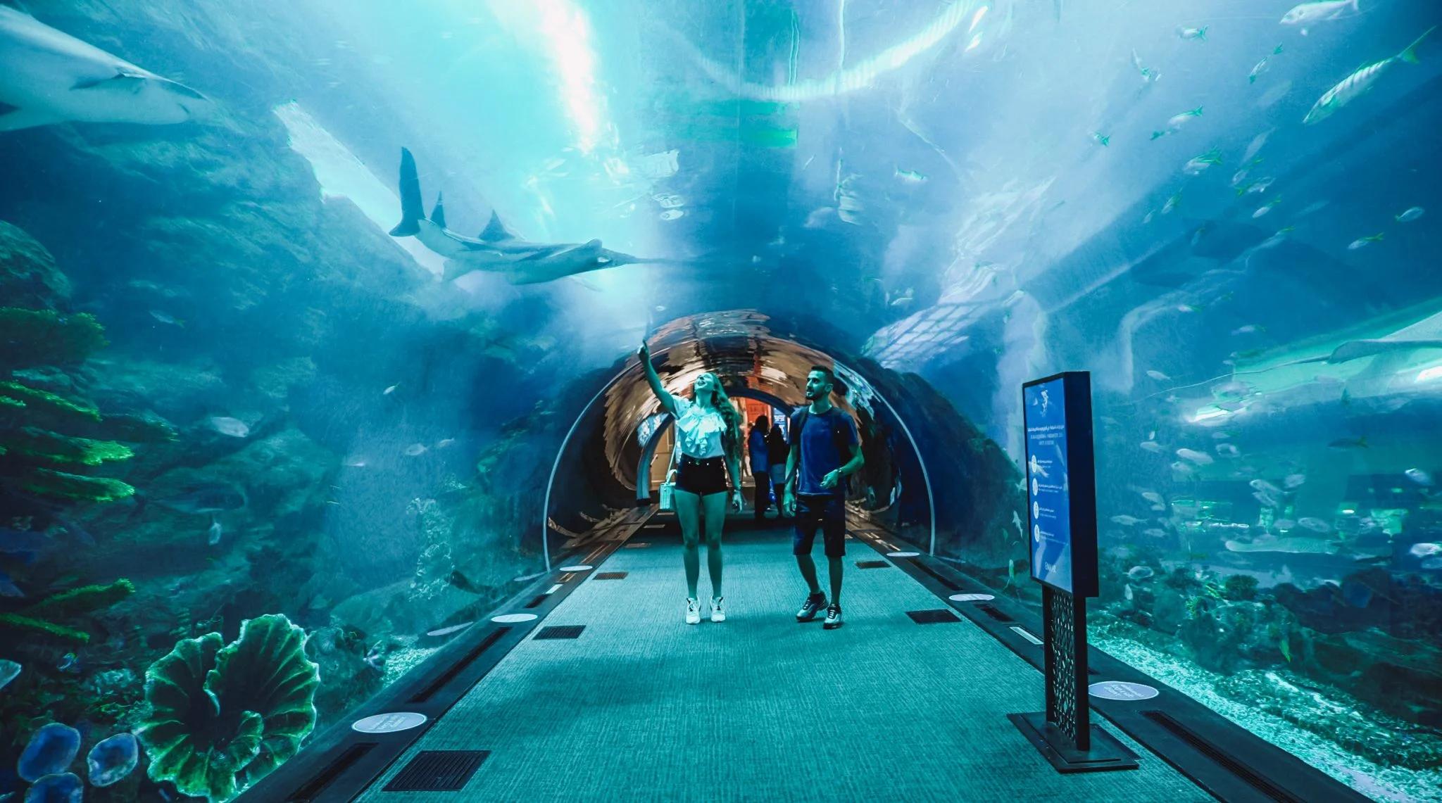 Zdjęcie nr 1 z galerii atrakcji Akwarium & Zoo w Dubai Mall