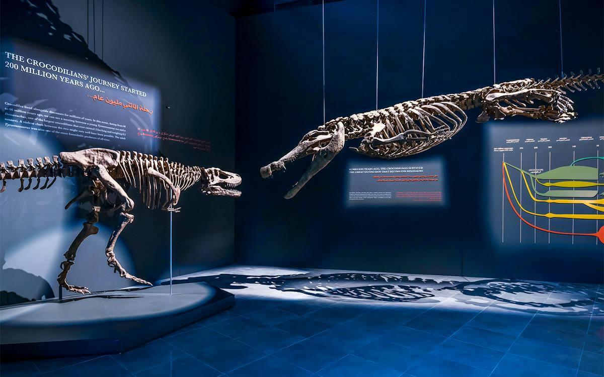 Zdjęcie nr 2 z galerii atrakcji Dubai Crocodile Park